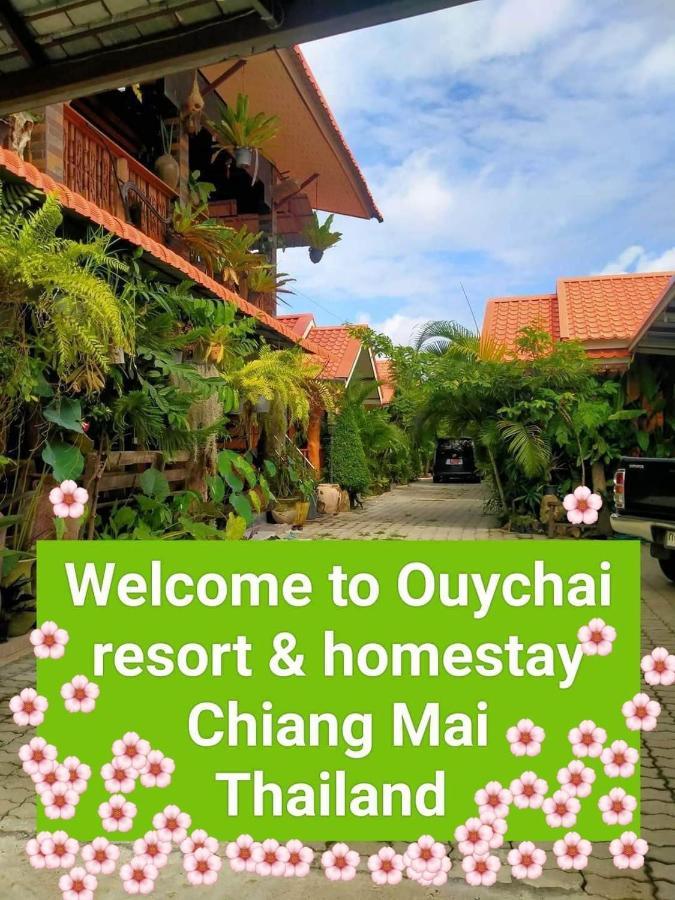 Ouychai Resort Home Stay Чіангмай Екстер'єр фото