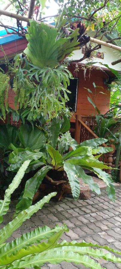 Ouychai Resort Home Stay Чіангмай Екстер'єр фото